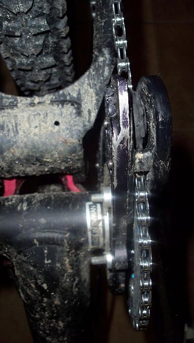 100_2950.JPG