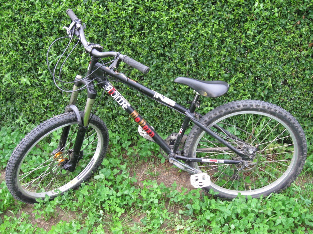 My bike 1
