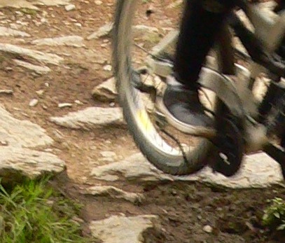 crop