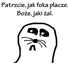 foka.jpg