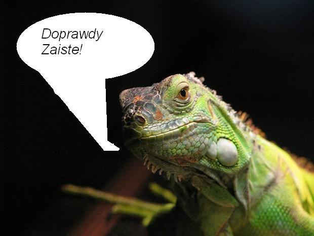 wogole chcialem z wypowiedzi w temacie jakis komiks ulepic ale stracilem wene...