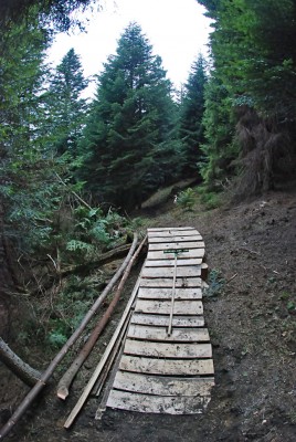 2375.jpg