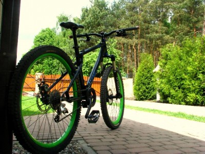 biek.jpg
