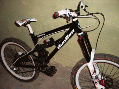 SDC10982.gif