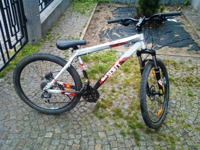 Zdjęcie-0005.jpg