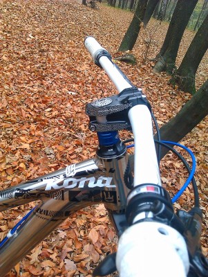 IMAG0311.jpg