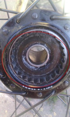 IMAG0092.jpg