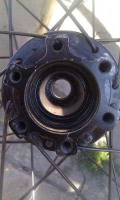 IMAG0093.jpg