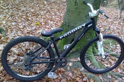 20121102487.jpg