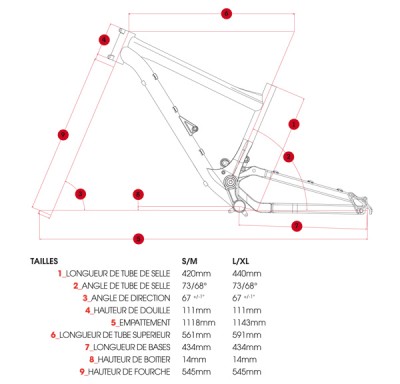 geometry_supreme.jpg