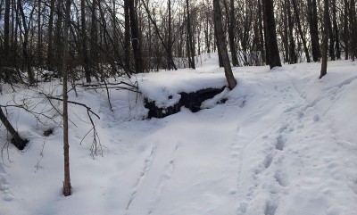 20130407_143301.jpg