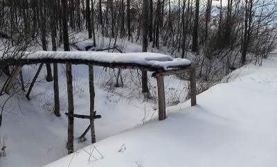 20130407_143340.jpg
