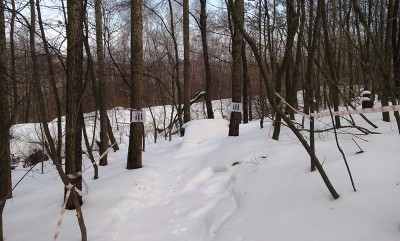 20130407_143748.jpg