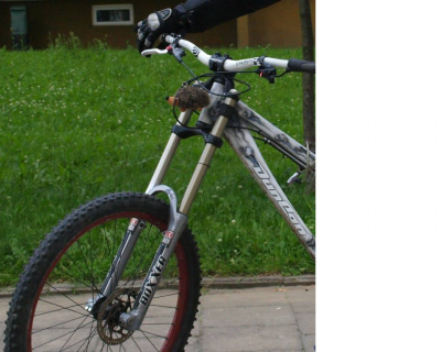 Amorek boxxer 2006.png