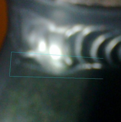 Obraz 096.jpg