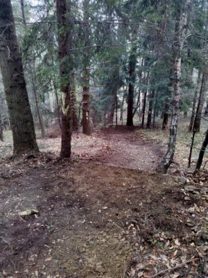 CAM01955.jpg