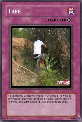 tree.jpg